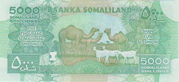 ���ޥ���ɡ�5000����󥰻���2011��UNC