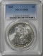 ����ꥫ����륬����顼��1885 PCGS MS63