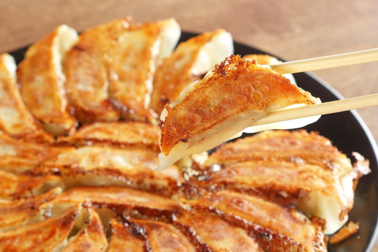 【しょうが餃子】50個 (25個入り×2袋) 高知県産生姜 豚肉100% 平日OK お弁当OK 熨斗無料 