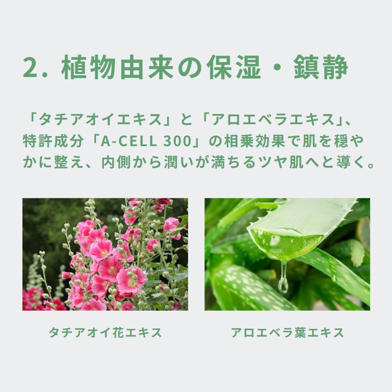 �����������[LADAMER]����᡼�� ����� 50mL
