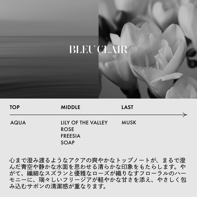 [LOA THE OIL]   ֥롼졼/100ml