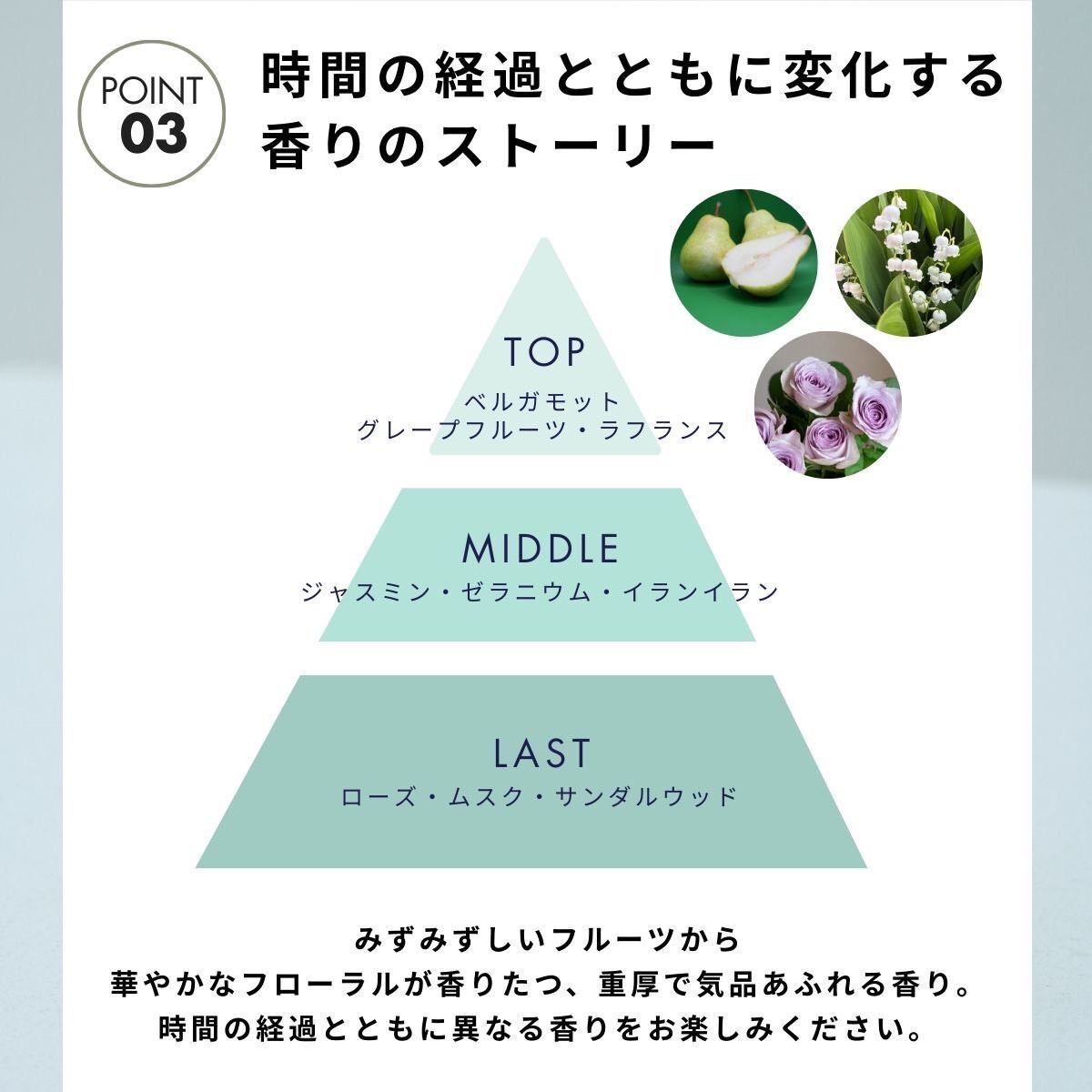 [���ǥ����ȥإ�������/105ml]