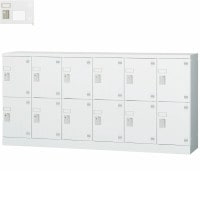 ڼʡ̵ۡ¿Ϳѥå(LOW)12ѥ磻ɥסդGLK-S12YSW smtb-tk