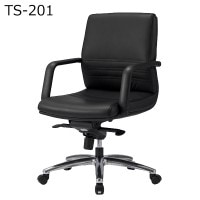 ޥ͡ȥ  ɪ ӥͥ 㥹  ػ  إ㥹 ֥å Ż  ̳ ե ± 屡       ι TS-201