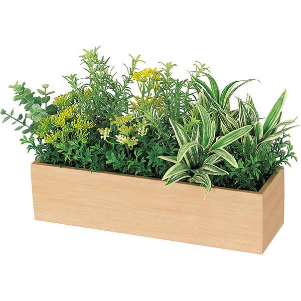 オフィスグリーン 卓上ポット W400×H200×D200 ボックスプランター