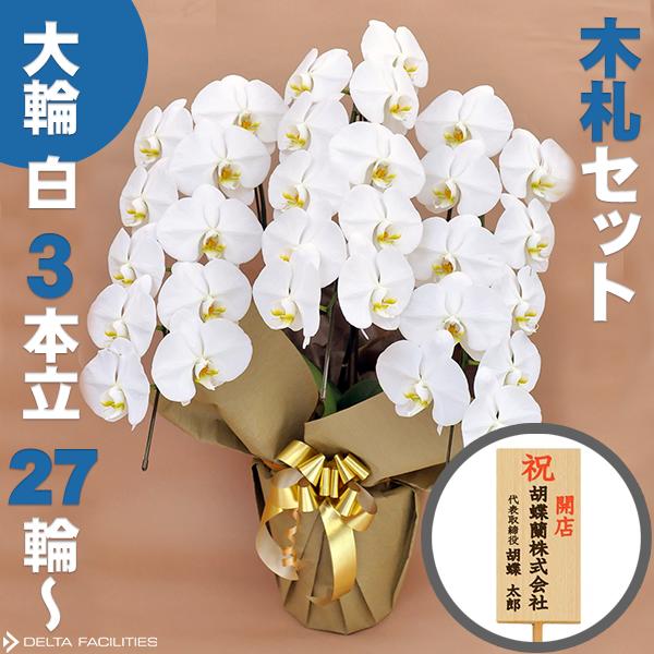 胡蝶蘭 大輪 白 3本立ち 27輪 蕾込み 木札セット 高級胡蝶蘭 農園直送 金賞受賞 ギフト お祝い 花 誕生日 結婚記念日 金婚式 移転祝い 事務所移転 開店祝い 開業祝い お供え 就任 栄転 褒章 叙勲 受賞祝い 受章祝い 昇進 栄転 就任 長寿 還暦 株主総会