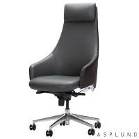 �����ץ��� LIAN CHAIR �饤��������� LIANCHAIR ���ե��������� �쥶�������� ���� ��������� �ߡ��ƥ��󥰥����� �ޥͥ����ȥ����� �ǥ���������� ���������ƥ��֥����� ��� ��Ĺ ������� ����� ���ե����ȶ� WorkPlus ����ץ饹 ASPLUND ��ˡ���͸����