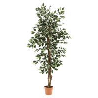 ե տʪ 690 B ꡼ W800D800H1600 ե꡼ ƥꥢǥ  ä ӥ ǥ ⥬ǥ ǥ ȥɥEXPO ǰ ƥꥢȶ ˡ͸