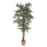 ե տʪ 1124 B ꡼ W900D900H1700 ե꡼ ƥꥢǥ  ä ӥ ǥ ⥬ǥ ǥ ȥɥEXPO ǰ ƥꥢȶ ˡ͸