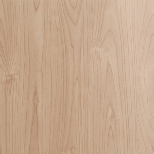 ڼʡ  20 ɥå  դ դ 20ѥ  45 GLK-D20W-NT å  å եå Ǽ å ܥå  եȶ ̵ۡ