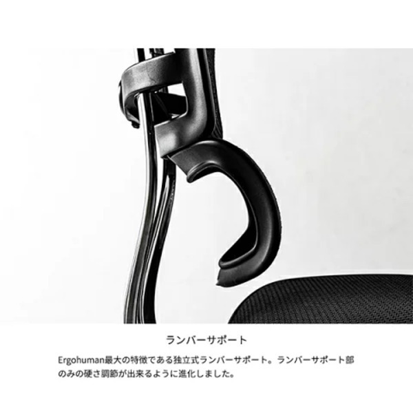 ���르�ҥ塼�ޥ� �ץ�2 ���åȥޥ� ���ե��������� ottoman �ϥ�����ɥ�ǥ� �إåɥ쥹�� ���饹�ȥ��å� ��å��� �եåȥ쥹�� �ⵡǽ������ �ѥ���������� PC������ ��å�������� ���������ƥ��֥����� ������� EHP2-LPL ���ե����ȶ� Ergohuman �ڴزȶ��