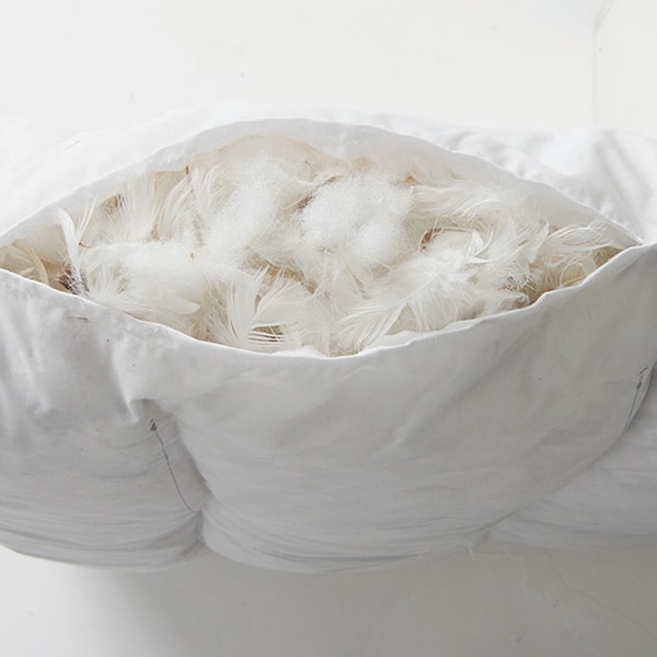 ��ˡ���͸���� ���ե� ����� ���å� ���ե��� ���ܼ� ��ļ� ���ե����ȶ� ����ȥ�� ���ӡ� ������ ���ե� ����Ź �Х� �쥹�ȥ�� �Թ缼 �ٷƼ� �ȶ� Ź�޽��� ����̵�� cherry �������� HOMEDAY