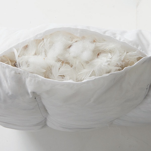 ˡ͸ ե  å ե ʡ ܼ ļ եȶ ȥ ӡ  ե Ź Х 쥹ȥ Թ缼 ٷƼ ȶ Ź޽ ̵ cherry  HOMEDAY