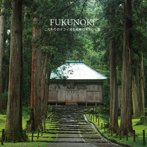 ӥ ȥå 񻺿 W854 D434 H370 ӥͥå  å  ê ƥ७ӥͥå Ǽ  ۥ磻 ֥å  񻺿 ̳ Ǽ  ̳ ع  Ź ݡĥ Ҹ եȶ FUKUNOKI  ˡ͸