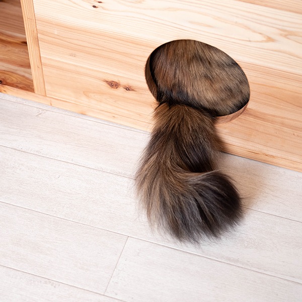 ローテーブル 猫用 キャットハウス付き センターテーブル 猫用ロー