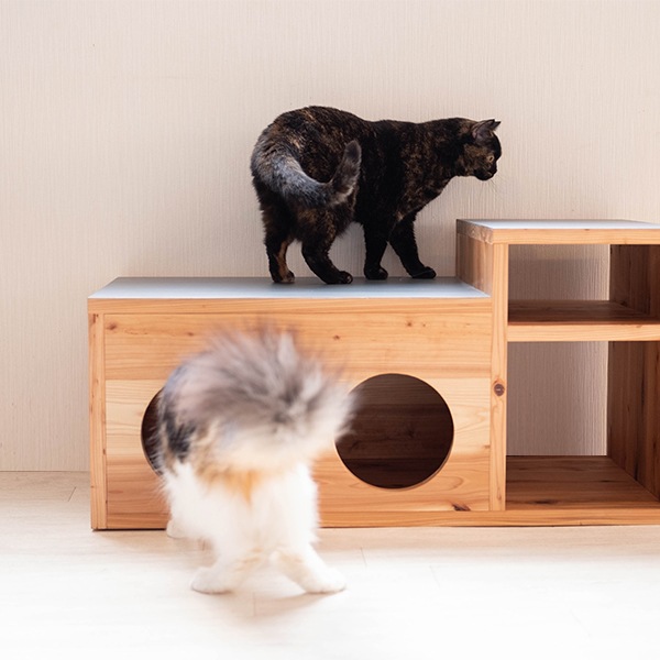 ローテーブル 猫用 キャットハウス付き センターテーブル 猫用ロー