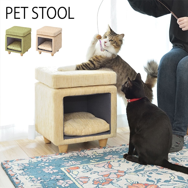 東谷 ペットスツール グリーン PET-62GR 家具 インテリア シンプル おしゃれ [▲][AS] 東谷 ペットスツール グリーン PET-62GR |b03