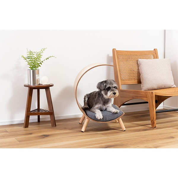 CKD 高耐久機器 タイロッド形シリンダ SCG/G- SCG-G-CA-50B-300-T2H-H-I-HP1 [A230101] CKD 高耐久機器 タイロッド形シリンダ SCG⁄G- SCG-G-TC-50D-250-T3H-R-I-