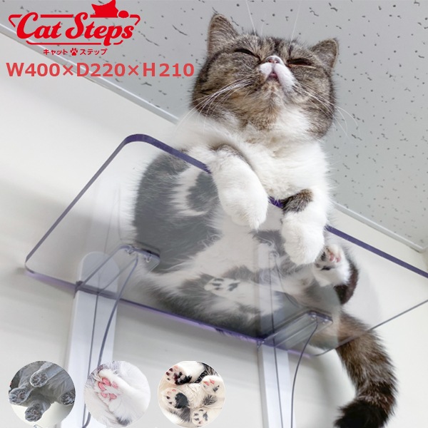 åȥƥå catsteps 黺 PC4022-3S 3祻å ꥢ Ʃ դ  դ ڥå ǭ ͤ ư  ڥå ѻ  İ 襤 