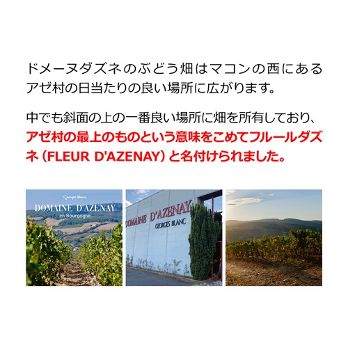 スモークツリー ホワイトラーフ 畑2 かい