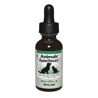 ǭ�� ���ץ���� ���˥ޥ륺���ѥ�����꡼ ���꡼�֥꡼�� [29.5ml] ̵ź�� ̵���� ̵�忧 ���˥ޥ륺���ѥ�����꡼ Apawthecary cat visions