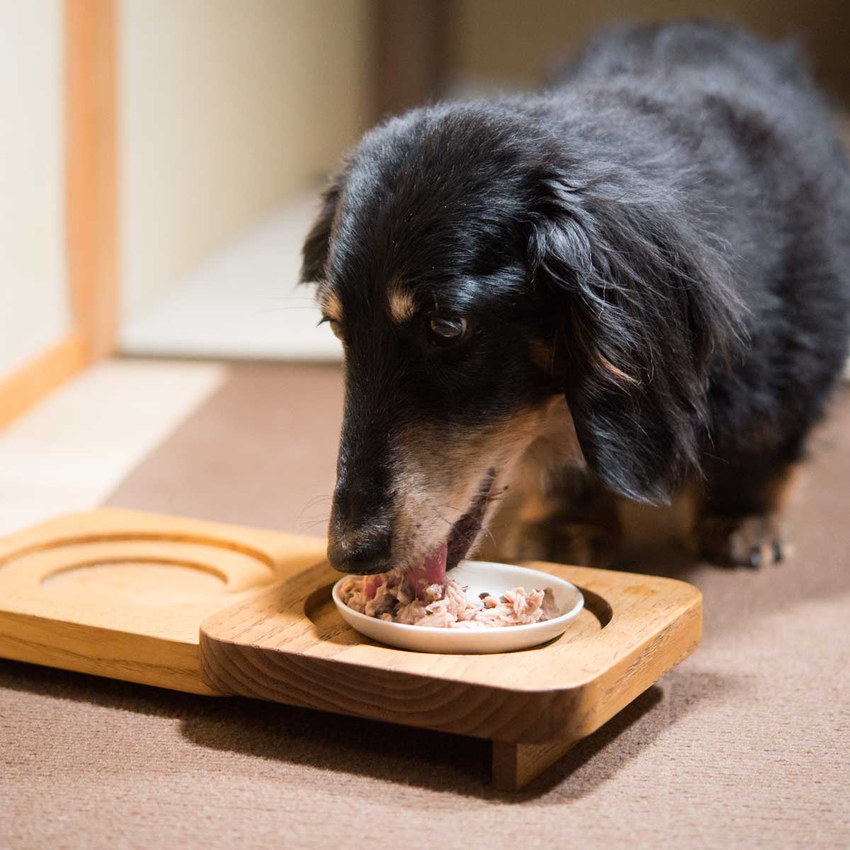 犬用ペットフード　ウェットタイプ