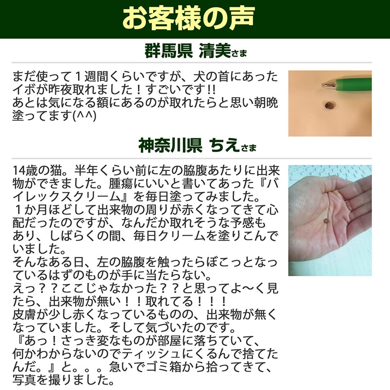 猫用 クリーム Hilton Herbs ヒルトンハーブ バイレックスクリーム