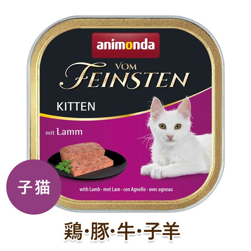 animonda ǭ�� �����åȥա��� ���˥��� �ե���ե����󥹥ƥ� ���ĥ� ������������������������ [100g] ��ǭ�� Υ���� ̵ź�� ̵���� ̵�忧 cat visions