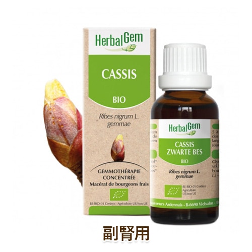 ǭ�� ���ץ���� HerbalGem �����⥻��ԡ� �֥�å������ȡ������ѡ� [50ml]  ŷ����ʬ100% ̵ź�� �ϡ��Х른���� cat visions