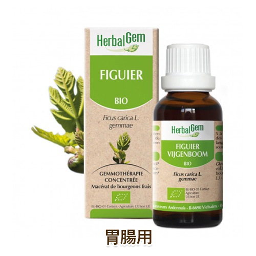 ǭ�� ���ץ���� HerbalGem �����⥻��ԡ� �ե����ĥ꡼ �ڰ�Ĳ�ѡ� [50ml]  ŷ����ʬ100% ̵ź�� �ϡ��Х른���� cat visions