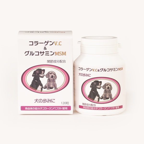 ���� ���ץ���� ���顼����V.C�����륳���ߥ�MSM  [120γ] ŷ����ʬ100% ̵ź�� dog visions