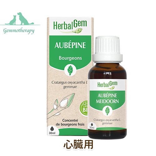 ���� ���ץ���� HerbalGem �����⥻��ԡ� �ۡ����� �ڿ�¡�ѡ� [30ml]  ŷ����ʬ100% ̵ź�� �ϡ��Х른���� dog visions