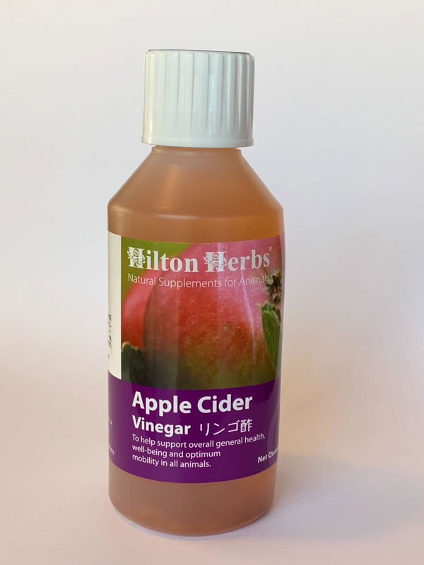 ���� ���ץ���� Hilton Herbs �ҥ�ȥ�ϡ��� ���åץ륵�������ӥͥ��� ��Apple Cider Vinegar�� ���Υ����� [250ml] ŷ����ʬ100% ̵ź�� dog visions