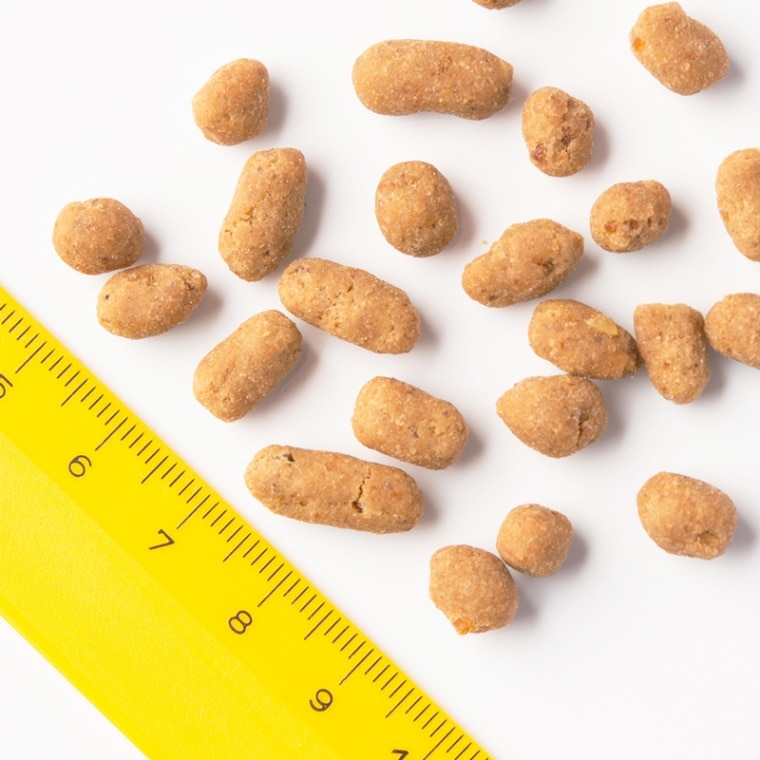 キャットフード お試し2種セット[各50g] ドライタイプ オールステージ