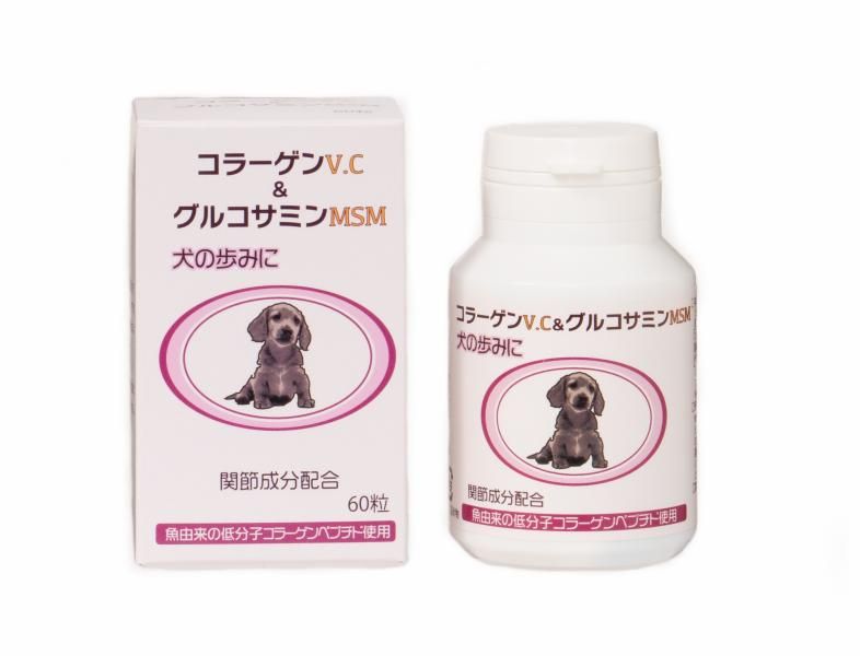  ץ 顼V.C륳ߥMSM  [60γ] ŷʬ100% ̵ź dog visions