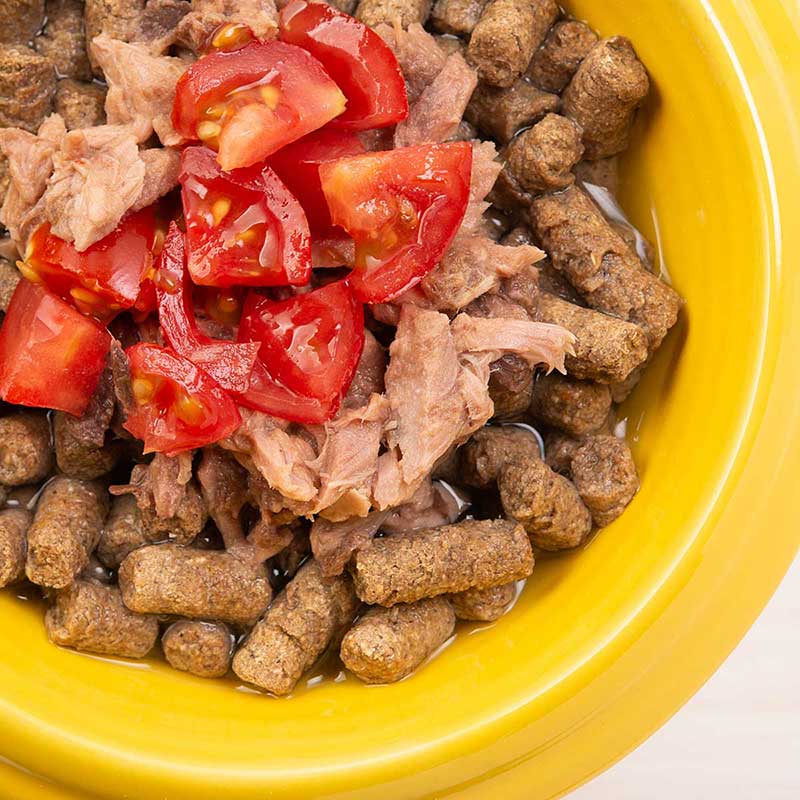 ドッグフード VISIONS ORIGINAL DRY FOOD ドッグフード イー・ホース【馬肉】[500g] ドライタイプ オール