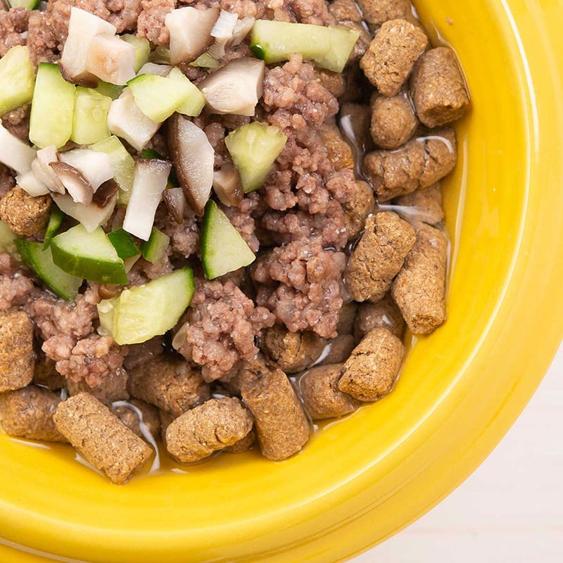 ドッグフード ディー・チキン＆フィッシュ【鶏肉（ささみ）＆魚】[800g