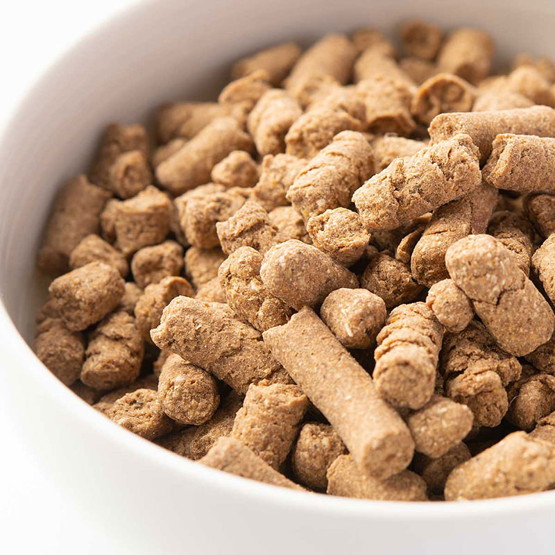 10%お得 ドッグフード ディー・チキン＆フィッシュ【鶏肉（ささみ