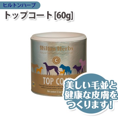ヒルトン7様用 ペアフォーグ 寒かっ
