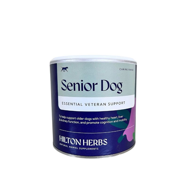 ���� ���ץ���� Hilton Herbs �ҥ�ȥ�ϡ��� ���˥��ɥå��ʵ�٥ƥ��ˡ�Senior Dog�� ʴ�������� [60g] ŷ����ʬ100% ̵ź�� dog visions