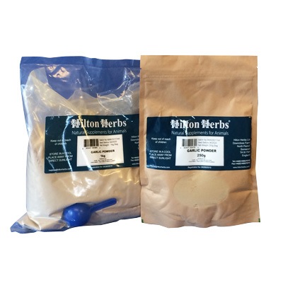 ���� ���ץ���� Hilton Herbs �ҥ�ȥ�ϡ��� ������å��ѥ�����(Garlic Powder) [250g] ŷ����ʬ100% ̵ź�� dog visions