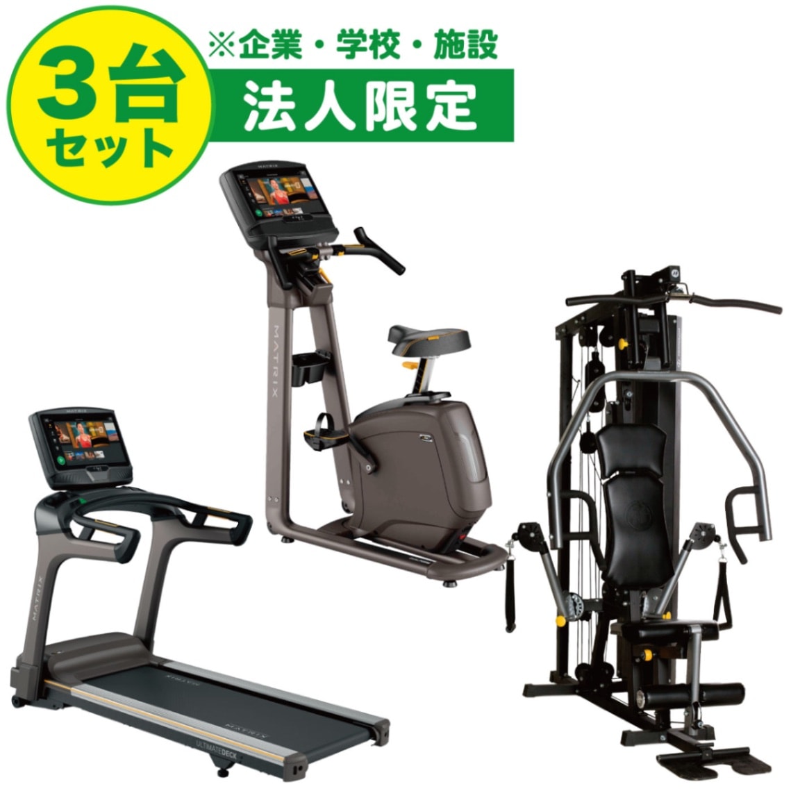 トレリートフィットネスマシーンTORAY EM300-LB BLUE