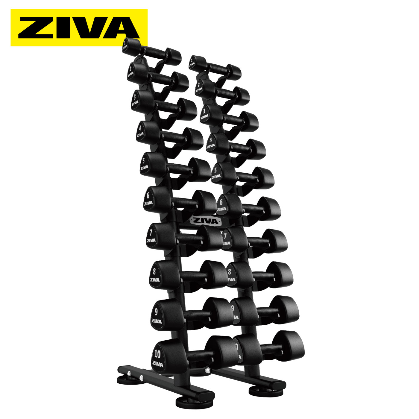 ST 1-10kg ������������٥��å���10�ڥ���Ǽ�ˡ���̳�ѥ���٥��å��ڥ���٥�ۥ���� �������ȥۥ���� ����٥륹����ɡۡ�ZIVA�ʥ��������ˡաڶڥȥ� �ܥǥ��ᥤ�� ���β�¤��