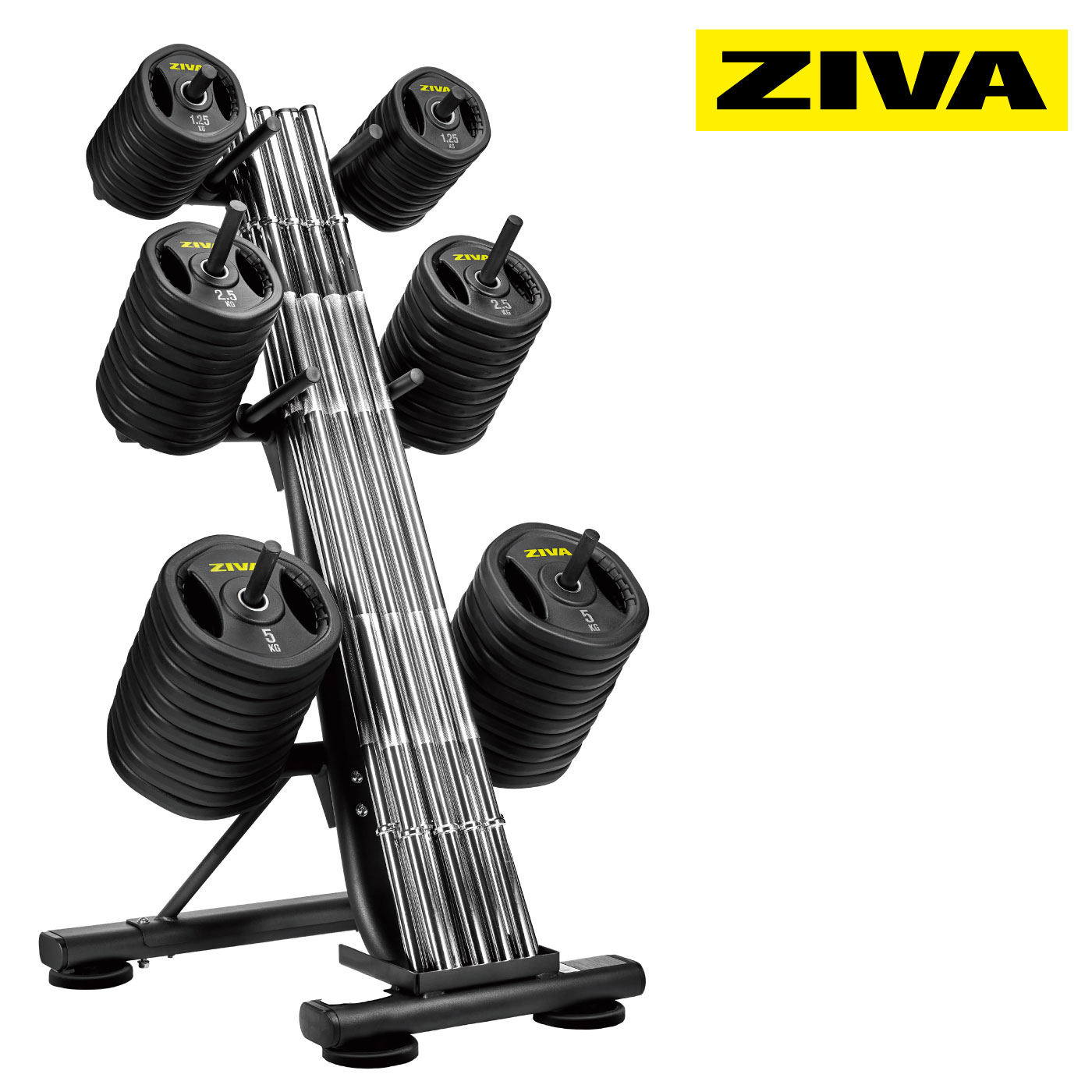 ST С٥å10åȼǼˡ̳ѥС٥åڥС٥ۥ ȥۥ С٥륹ɡۡZIVAʥˡաڶڥȥ ܥǥᥤ β¤