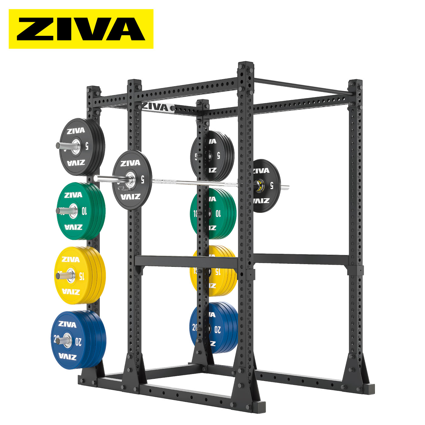 XP ѥå̳ѥѥåڥѥ ѥܥå ܥååۡZIVAʥˡաڶڥȥ ܥǥᥤ β¤