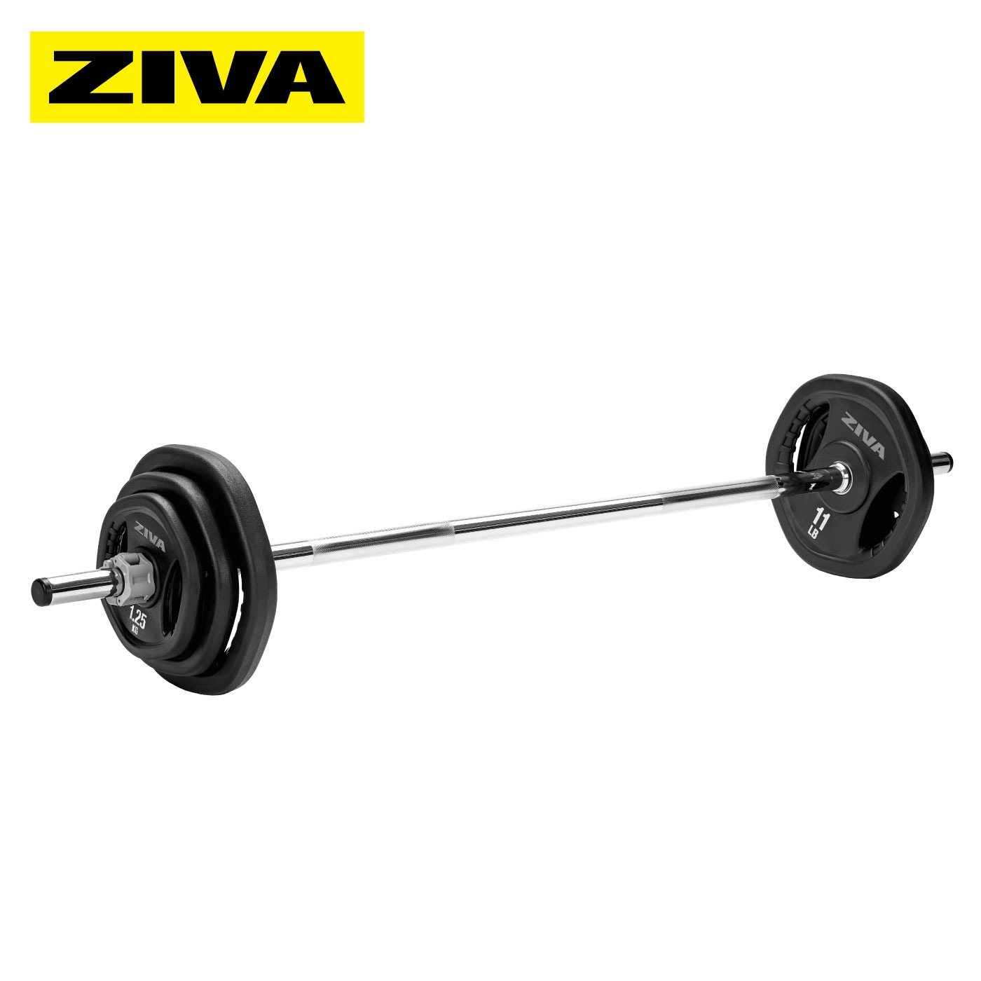 PERFORMANCE スタジオバーベルセット（バー、ウエイトディスク