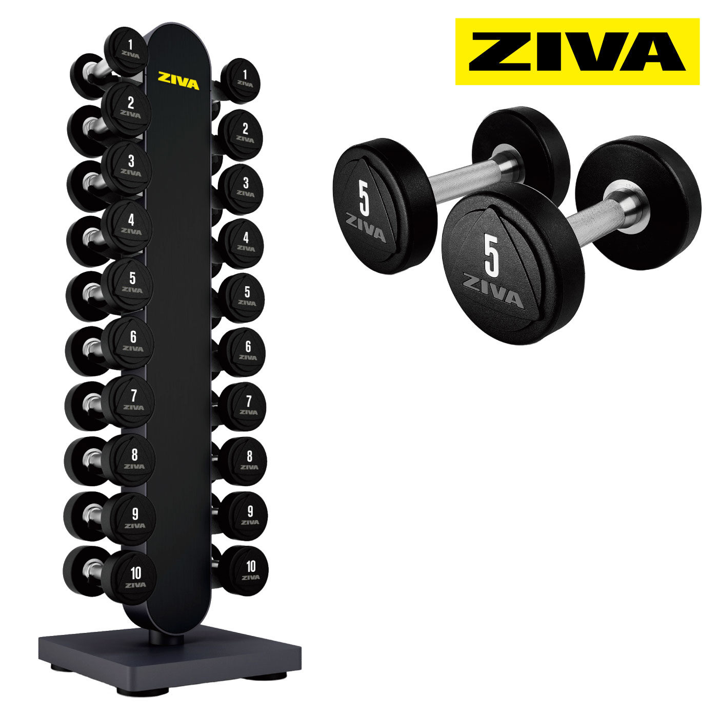 ZVO ����åɥ��쥿�����٥�1-10kg��EX 1-10kg������������٥��å��ڥ���٥�ܥ�å����åȡۡ�ZIVA�ʥ��������ˡաڶڥȥ� �ܥǥ��ᥤ�� ���β�¤��