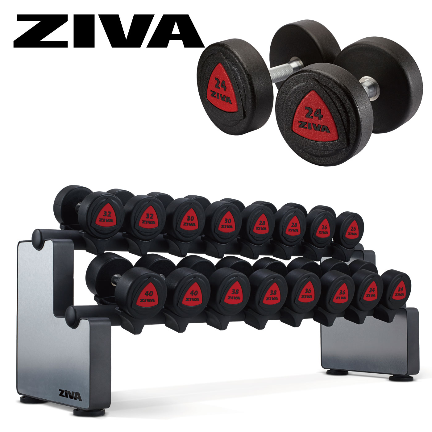 ���쥿�����٥�10�ڥ��ܥ���٥��å����åȡ�2kg-38kg�ˡڥ���٥� Ŵ���쥤 �С��٥�ۡҶ�̳�ѡӡ�ZIVA�ʥ��������ˡաڶڥȥ� �ܥǥ��ᥤ�� ���β�¤��