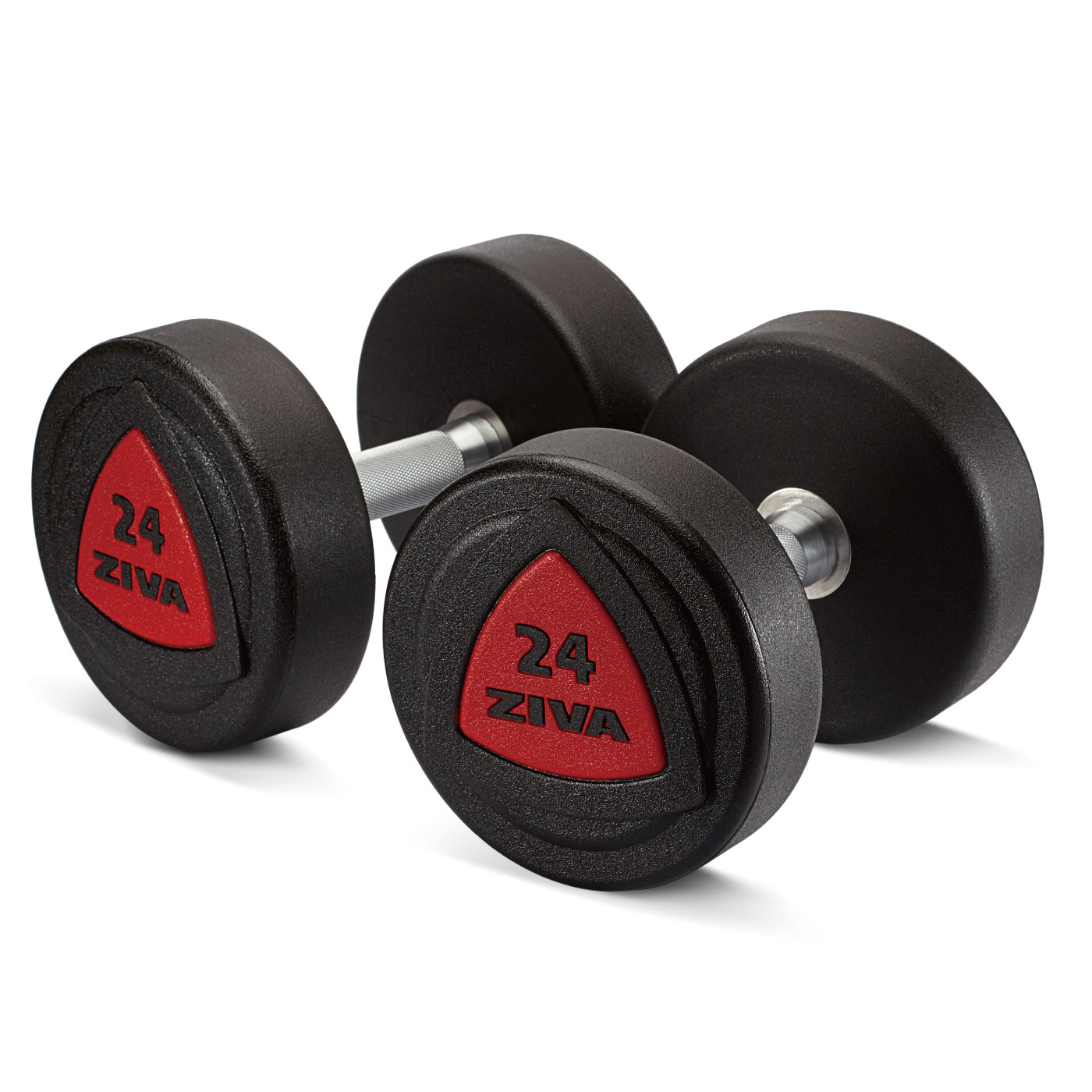 ���쥿�����٥�10�ڥ��ܥ���٥��å����åȡ�2kg-38kg�ˡڥ���٥� Ŵ���쥤 �С��٥�ۡҶ�̳�ѡӡ�ZIVA�ʥ��������ˡաڶڥȥ� �ܥǥ��ᥤ�� ���β�¤��