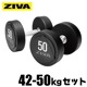 ZVO 42kg-50kg åɥ쥿 ٥롿̳ѥ٥ڥ٥ Ŵ쥤 졼ۡZIVAʥˡաڶڥȥ ܥǥᥤ β¤